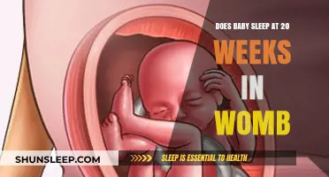 Understanding Fetal Sleep Patterns: Does Your Baby Sleep at 20 Weeks?