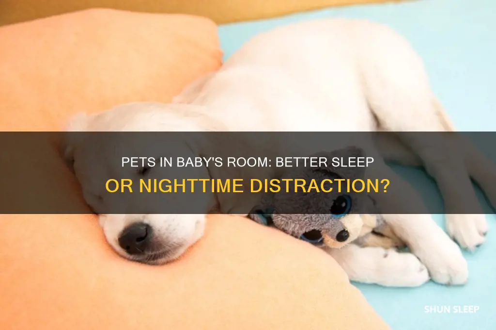 does baby sleep better with pet in room
