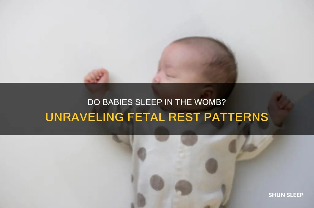 does baby sleep in the womb