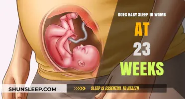 Understanding Fetal Sleep Patterns at 23 Weeks in the Womb