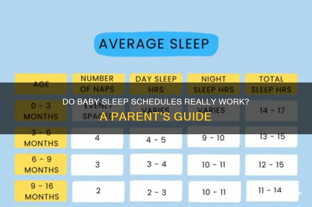 does baby sleep schedules work