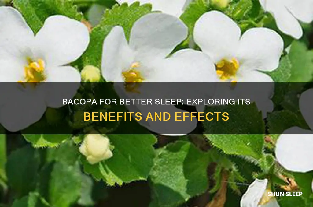 does bacopa help you sleep