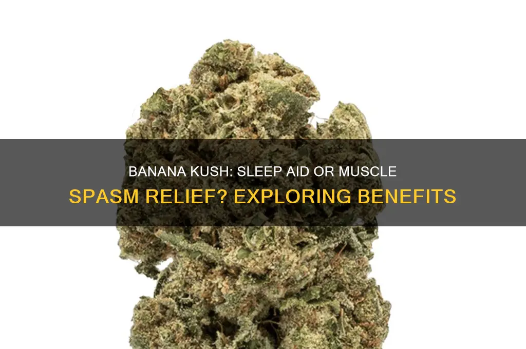 does banana cush help with sleep or muscle spasms