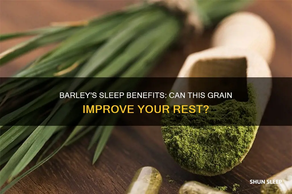 does barley help you sleep