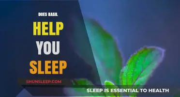 Can Basil Improve Sleep Quality? Exploring Its Relaxing Benefits