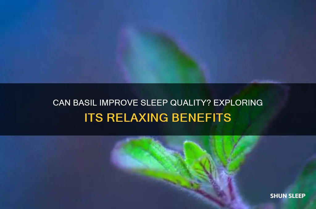 does basil help you sleep