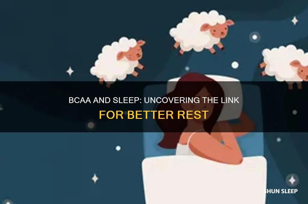 does bcaa help you sleep
