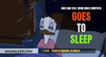 BDO Functionality: Sleep Mode Effects Explained
