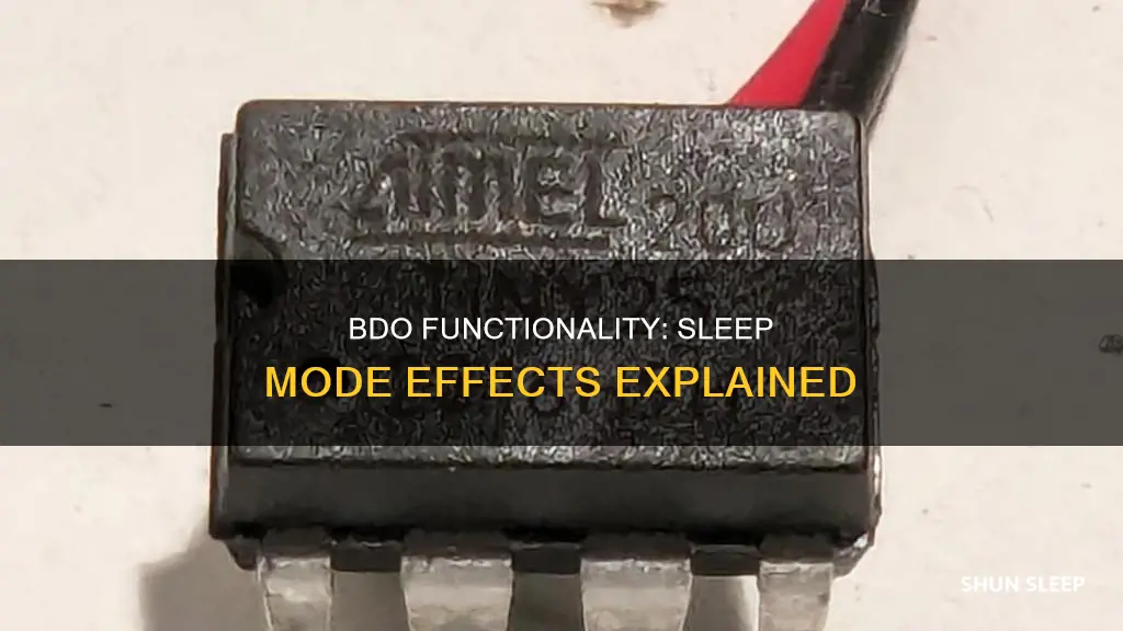 does bdo still work when computer goes to sleep