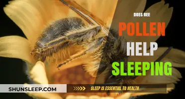 Bee Pollen and Sleep: Unlocking Natural Remedies for Better Rest