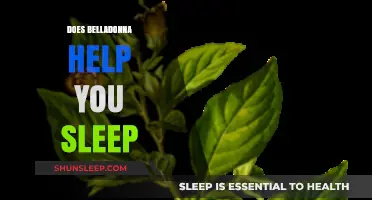 Belladonna for Sleep: Benefits, Risks, and Natural Alternatives Explained