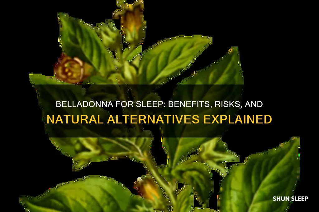 does belladonna help you sleep