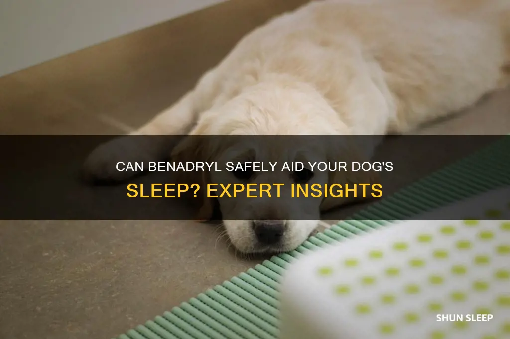 does benadryl help a dog sleep