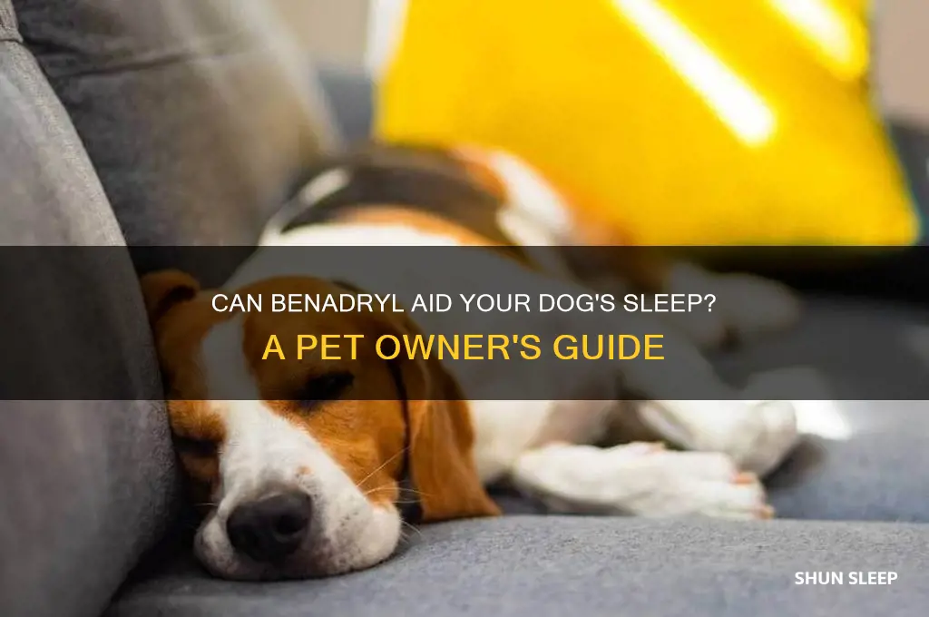 does benadryl help dogs sleep