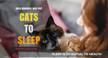 Can Benadryl Safely Help Cats Sleep? Vet Advice & Alternatives