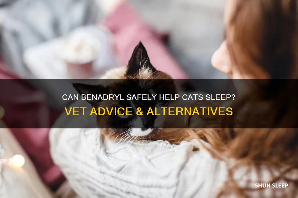 does benadryl help put cats to sleep