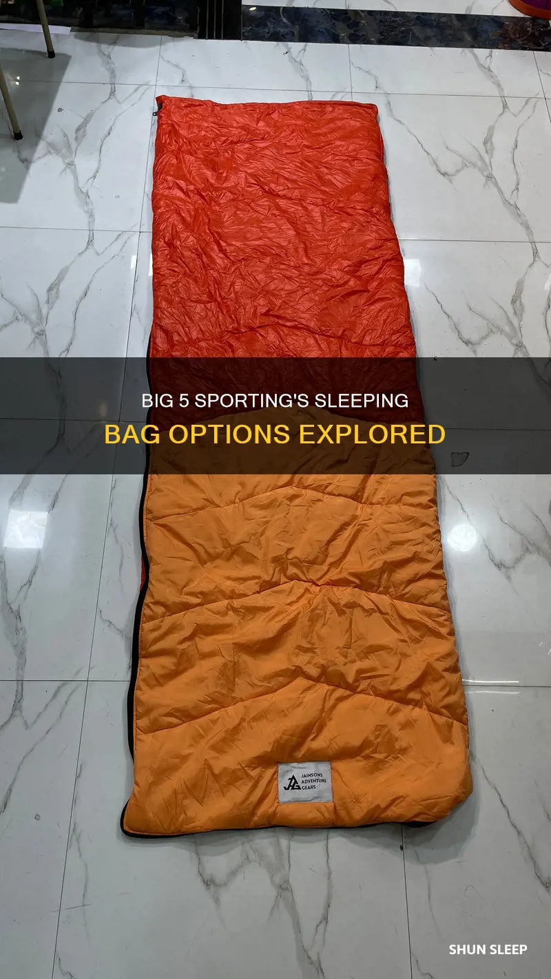does big 5 sporting sell sleeping bags