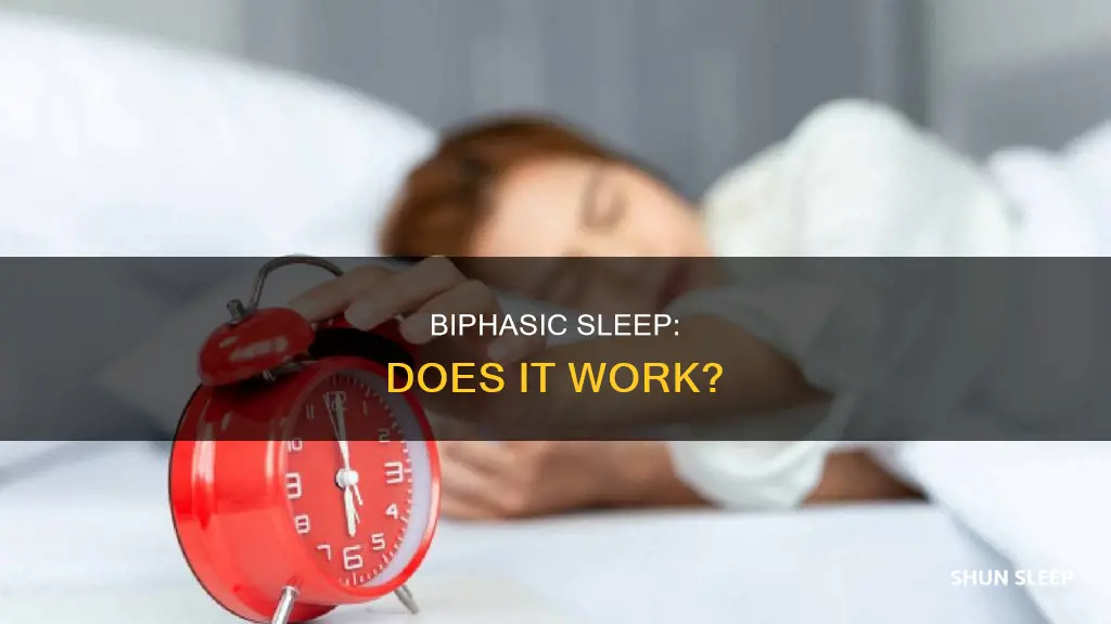 does biphasic sleep work