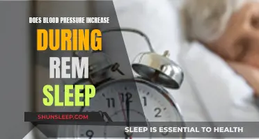 Sleep and Blood Pressure: REM Stage's Effect