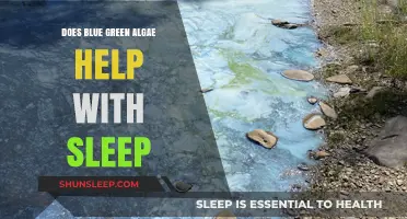 Blue Green Algae and Sleep: Unlocking Natural Rest Benefits