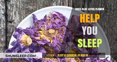 Blue Lotus Flower for Sleep: Benefits, Uses, and Effectiveness Explained
