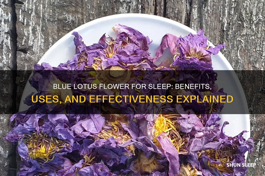 does blue lotus flower help you sleep