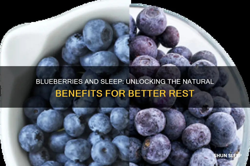 does blueberries help with sleep