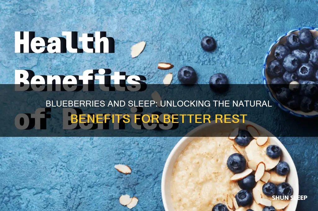 does blueberries help you sleep