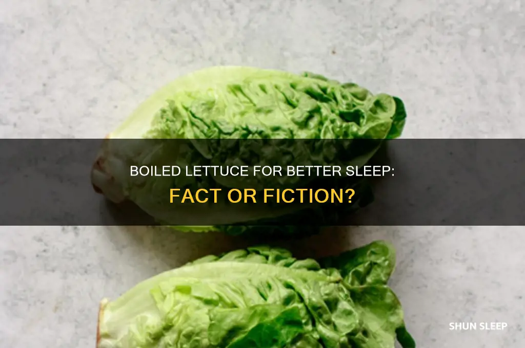 does boiled lettuce help you sleep