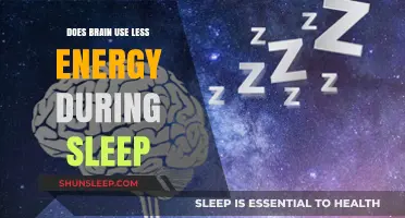 Brain Energy Conservation During Sleep