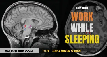 Brain Activity While Sleeping: What's Happening?