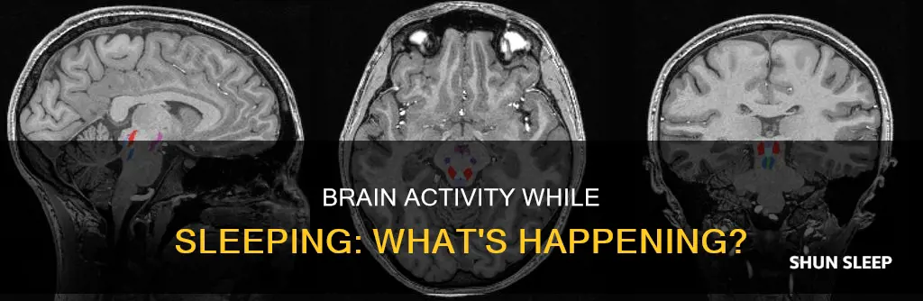 does brain work while sleeping
