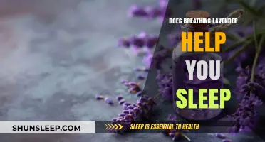 Lavender's Soothing Power: Can Inhaling It Improve Your Sleep Quality?