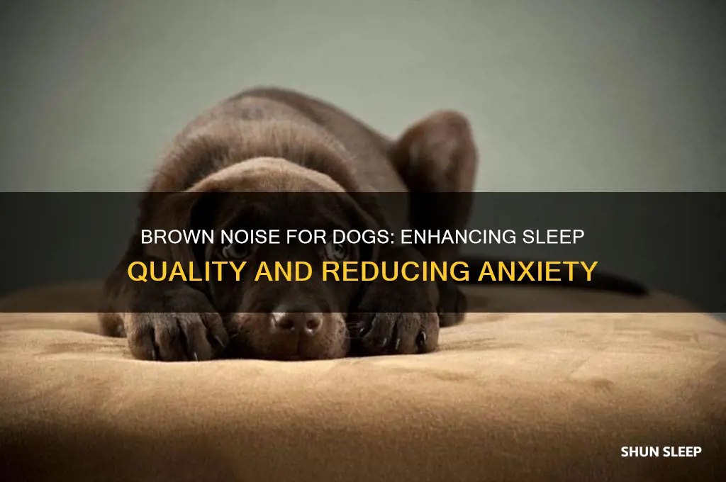 does brown noise help dogs sleep