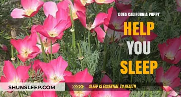 California Poppy for Sleep: Natural Remedy or Myth?