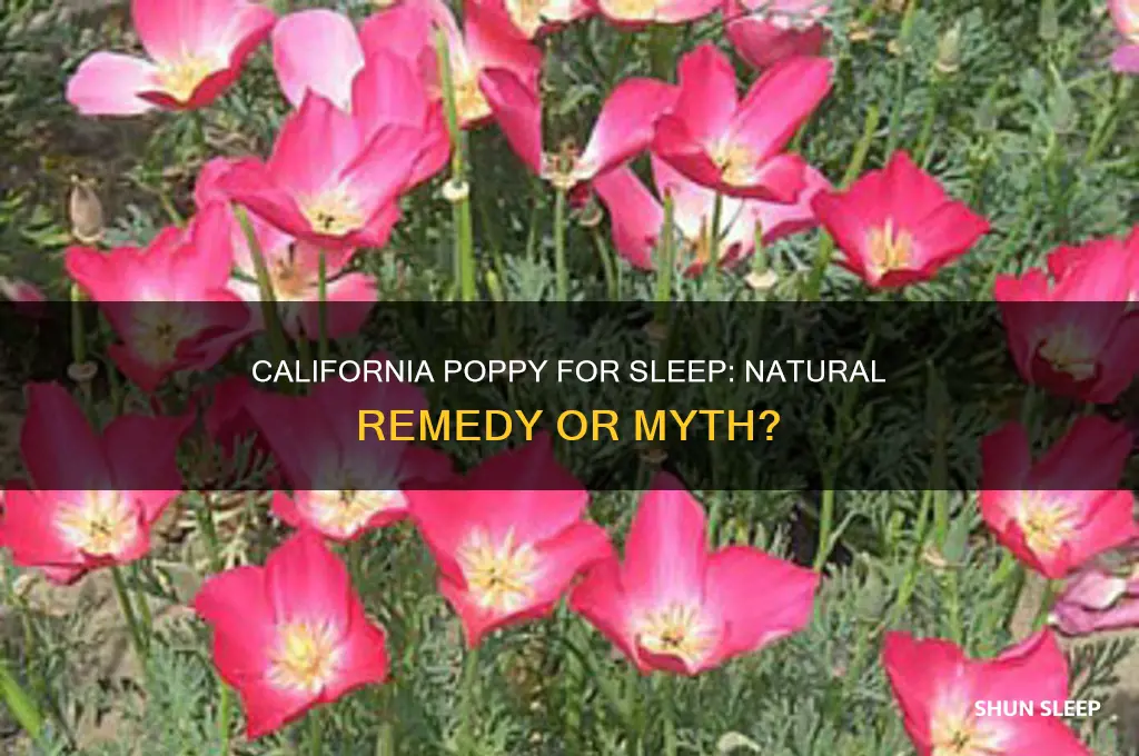 does california poppy help you sleep