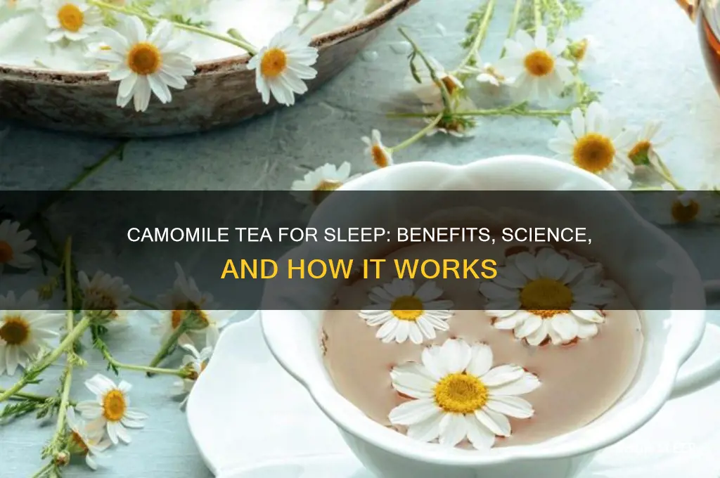 does camomile help sleep