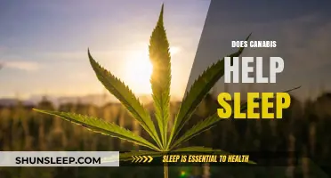 Can Cannabis Improve Sleep Quality? Exploring the Science and Benefits