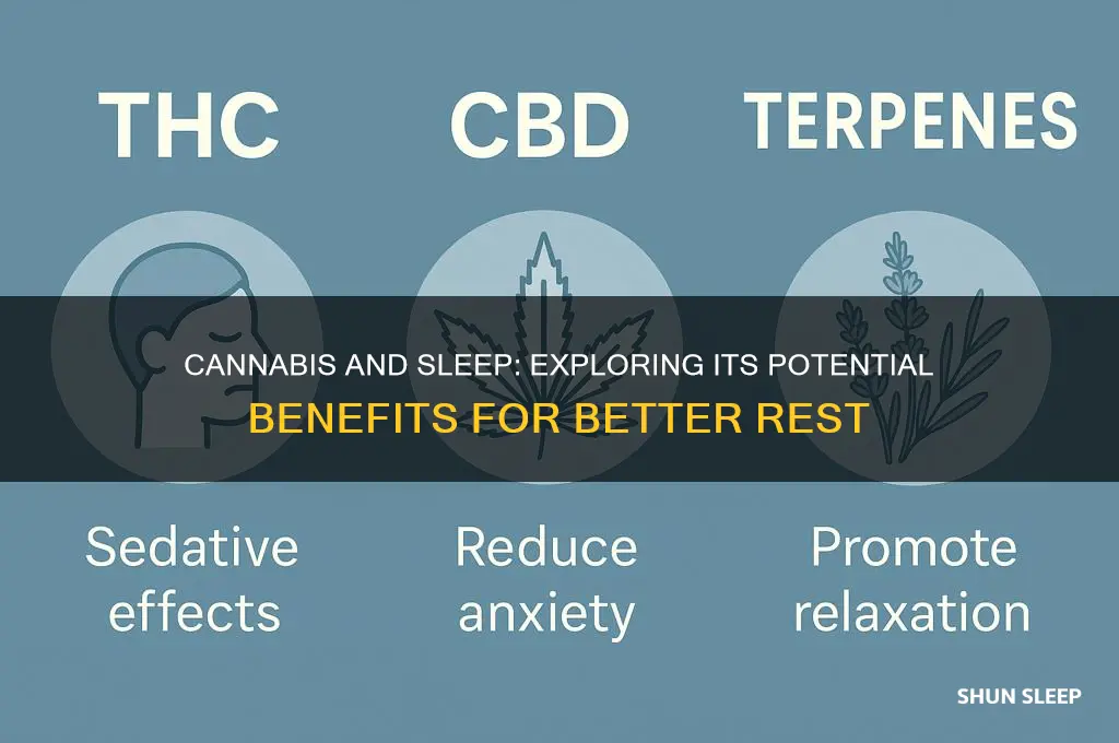 does cannibis help you sleep better