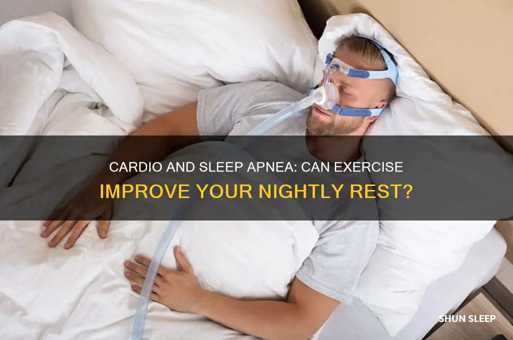 does cardio help sleep apnea