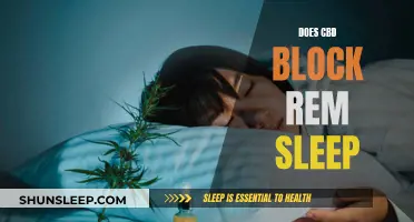 CBD and REM Sleep: What's the Connection?