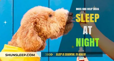 Can CBD Improve Your Dog's Nighttime Sleep Quality?