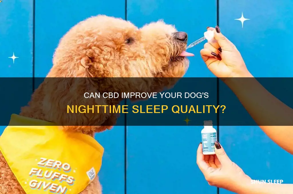 does cbd help dogs sleep at night