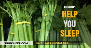 Celery and Sleep: Unveiling the Natural Sleep Aid Benefits