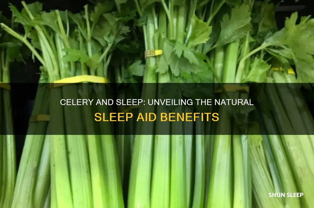 does celery help you sleep