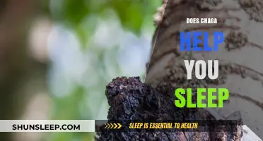 Chaga Mushroom for Sleep: Natural Remedy or Myth?