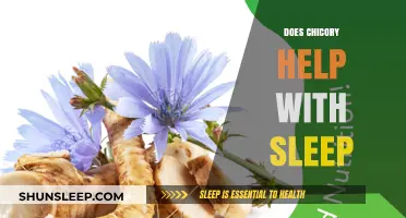 Chicory and Sleep: Exploring Its Potential Benefits for Restful Nights