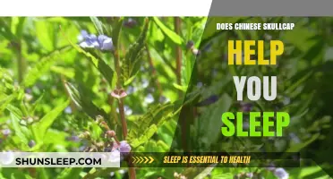 Chinese Skullcap for Sleep: Benefits, Uses, and Effectiveness Explained