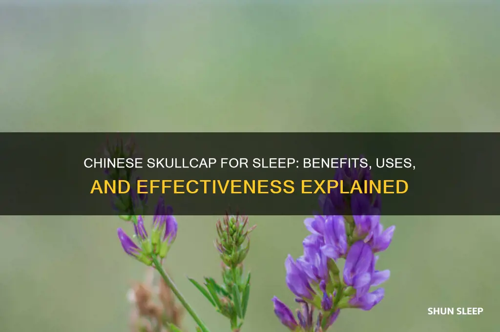 does chinese skullcap help you sleep