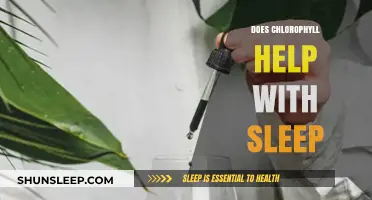 Chlorophyll and Sleep: Unlocking Natural Remedies for Better Rest